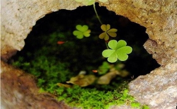  Ít ham muốn, luôn biết đủ 